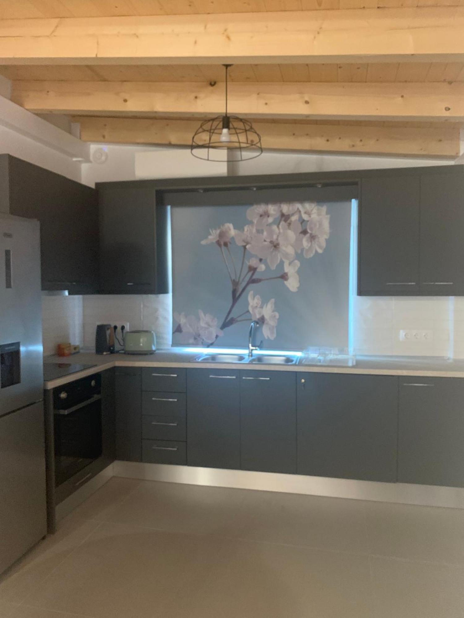 דאסיה Terpsichore Boutique Appartments מראה חיצוני תמונה